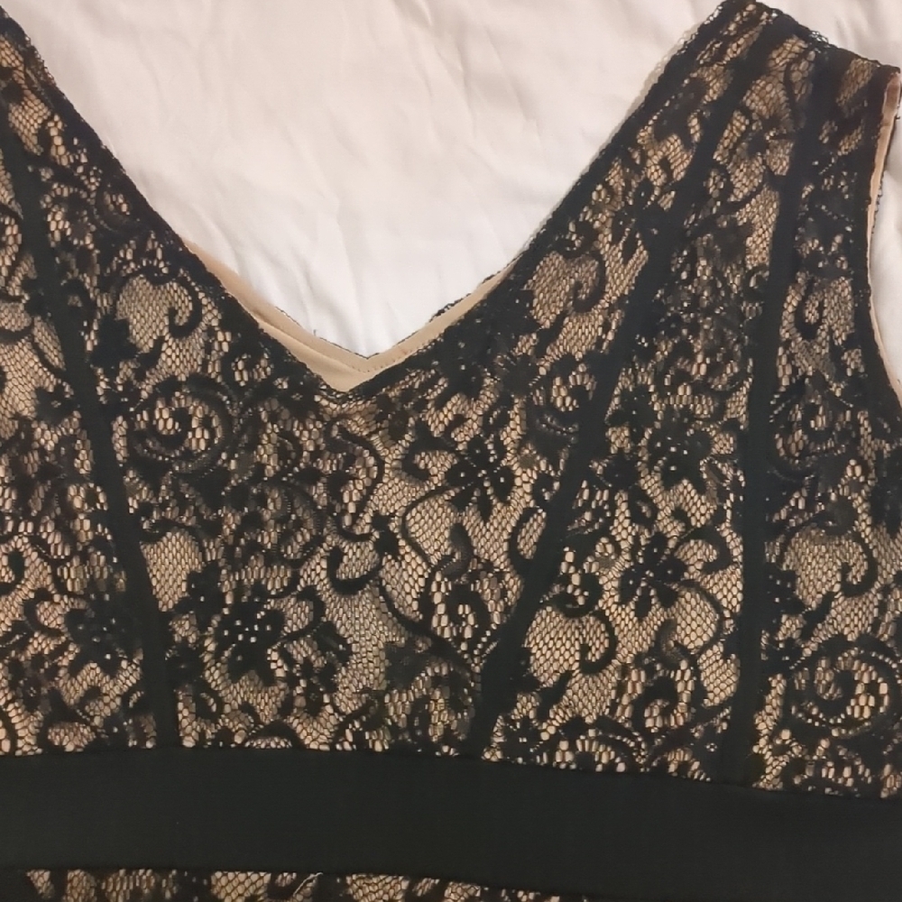 Elegant Black Lace Dress - Picture 3 of 3